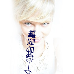 精靈導航一休導航