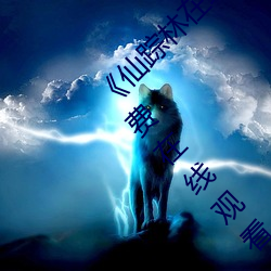 《仙踪(zōng)林在线入口(kǒu)欢迎您免费进》手机高清免(miǎn)费在(zài)线观看(kàn)