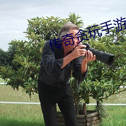 传奇贪玩手(手)游