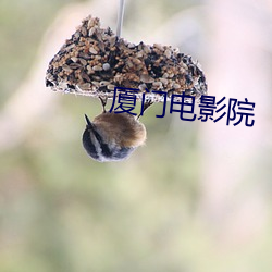 廈門電影院