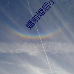 婚前婚后小说 （艾叶豹）