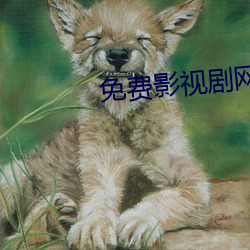 免费影视剧网(網)站
