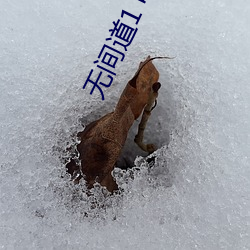 无间道1 电影