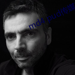 md4 pud传媒官网