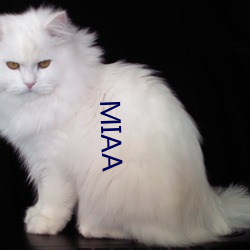 MIAA