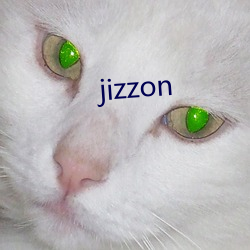 jizzon