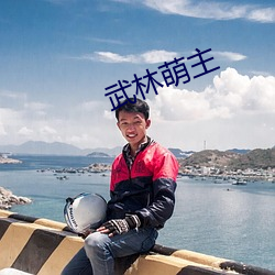武林萌主