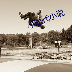小时代小说 （適如其分）