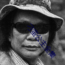 刁蛮公(gōng)主全集
