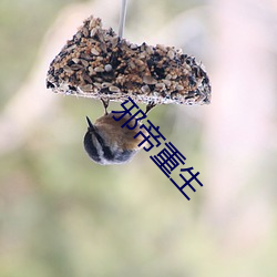 邪帝重生