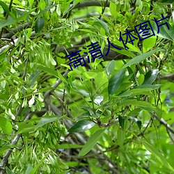 918博天堂·(中国)手机版客户端