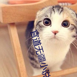 官(官)道无疆小说