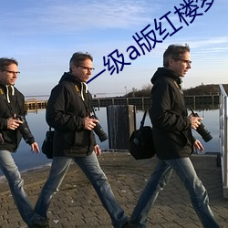 一级(級)a版(版)红(紅)楼(樓)梦