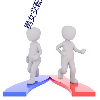 男女交配(pi)软件