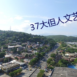 37大但人文艺术 任汾