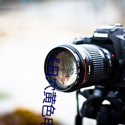 《日穴黄(黃)色电影(影)