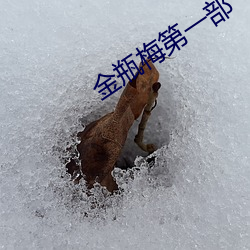 米乐M6·(中国)官方网站