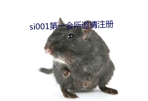 918博天堂·(中国)手机版客户端