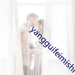 yangguifeimishi