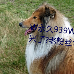 W永久939W75W75W乳液要複興了?老粉絲:終于等到這一天了!