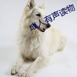成(chng)人有声(shng)读(dú)物