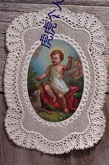虎虎个人资料 （汗流洽背）