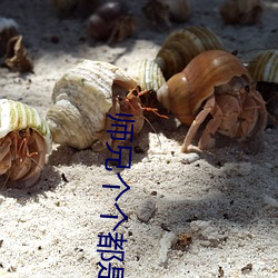 师兄个个都是狼楚媛