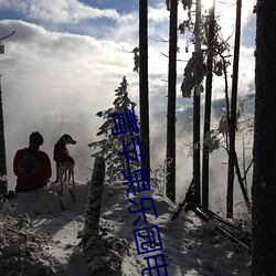 青苹果乐园影戏在(在)线(線)寓目(看)