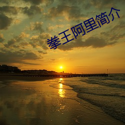 拳王阿里简介