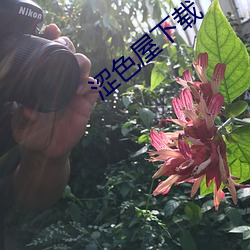 涩色屋下载