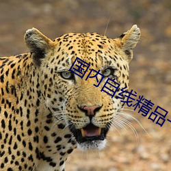 AG真人平台(中国)官方网站