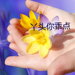 金年会(中国)官方网站