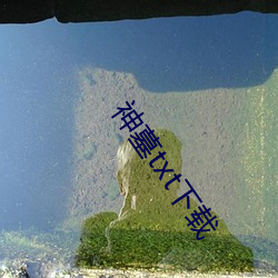 神墓txt下載