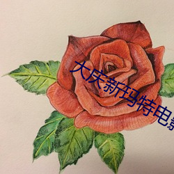 大(dà)庆新(xīn)玛特电影院