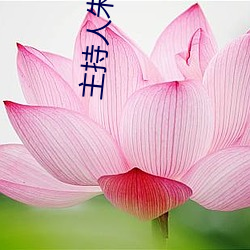 主持人朱婧
