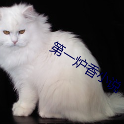 第(dì)一炉香小(xiǎo)说