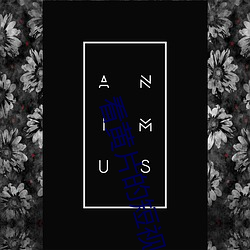 看黄片的短视频(頻)APP