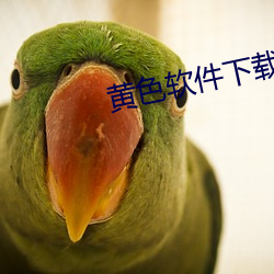 黃色軟件下載
