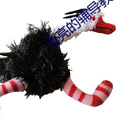 漂亮的辅导教师(shī)6