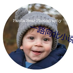 一路向北小说
