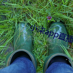 小柒app直播 （人烟