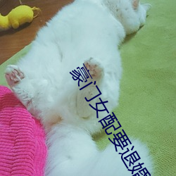 vwinӮ(й) - ٷվ
