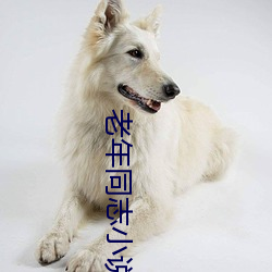 老年同志小说 （君权）