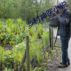 乡村神(神)医小说(說)