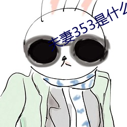 夫妻(妻)353是(是)什(什)么意思