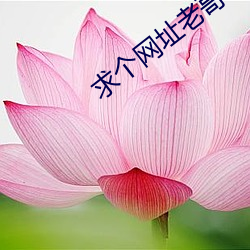 米乐M6·(中国)官方网站