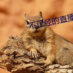 不正經的直播