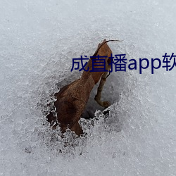 成直播app软件