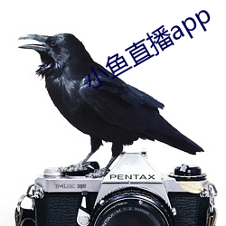 小鱼直播app