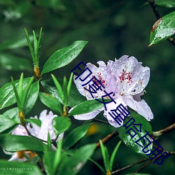 金年会(中国)官方网站